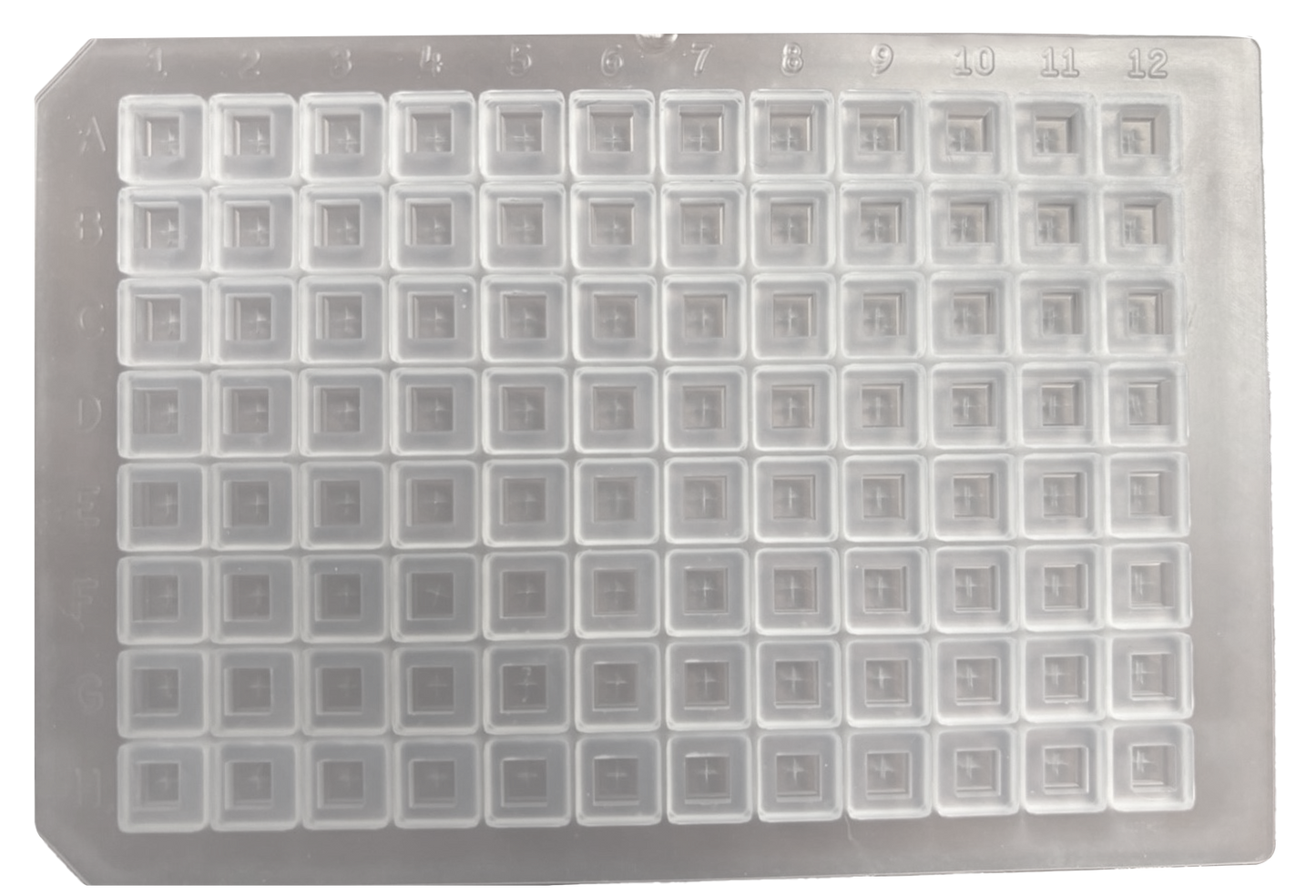 CS-100053